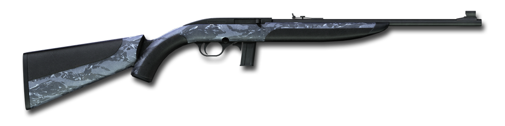 .22 .22