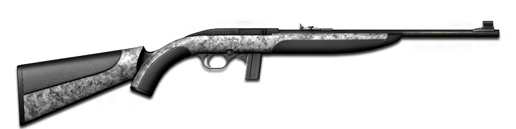 .22 .22
