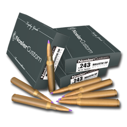 .243 Nosler Ballistic Tip .243 Nosler Ballistic Tip