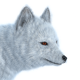 Arctic Fox