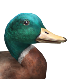 Mallard